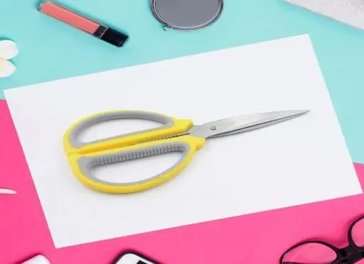 Procut Stainless Steel Scissors - Professional Grade Shears for Home, Office, Collage, Laboratory, Project works, and Crafting (1 piece)